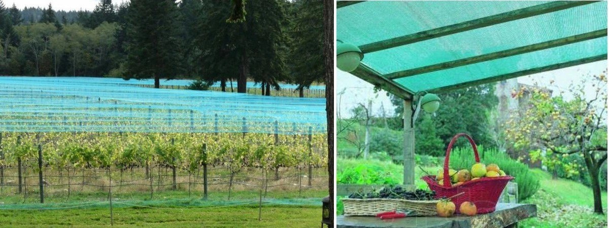 SIATKA CIENIUJĄCA 90% 2x25m MASKUJĄCA NA PŁOT UV SIATKA CIENIUJĄCA 90% 2x25m MASKUJĄCA NA PŁOT UV