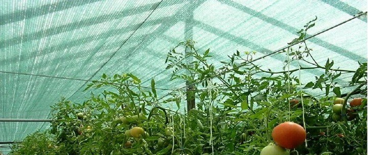 Siatka cieniująca maskująca osłona 90% gruba mocna Siatka cieniująca maskująca osłona 90% gruba mocna