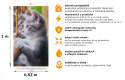 Wall Mounted Infrared TRIO CAT Heater Heating Panel