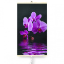 Wall Mounted Infrared TRIO FLOWER Heater Heating Panel