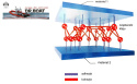 Adhesive Dr. Boat + Liquid Rubber Patch Liquid Patch EVA